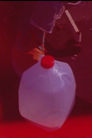 2 Gurls 1 Jug's poster