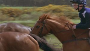 Shergar's poster