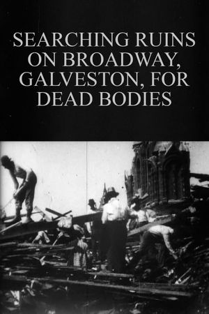 Searching Ruins on Broadway, Galveston, for Dead Bodies's poster