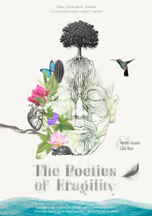 The Poetics of Fragility's poster