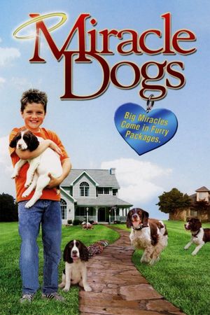 Miracle Dogs's poster