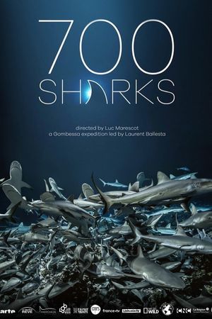 700 Sharks's poster