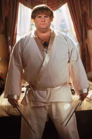 Beverly Hills Ninja's poster