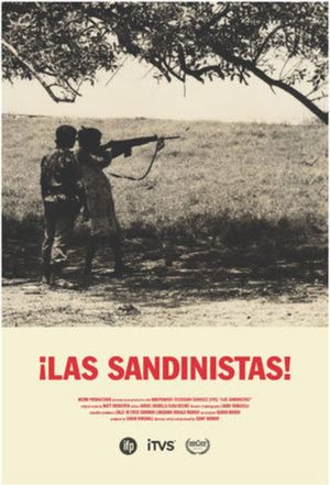 Las Sandinistas!'s poster