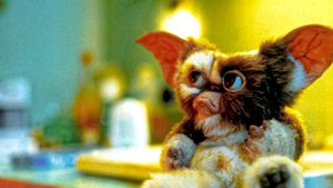 Gremlins's poster