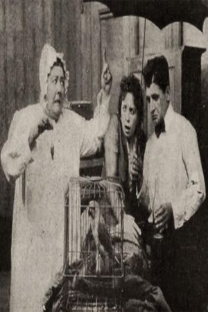 In Arcadia's poster