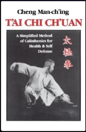 Tai Chi Chuan: Tras La Senda de la Salud's poster