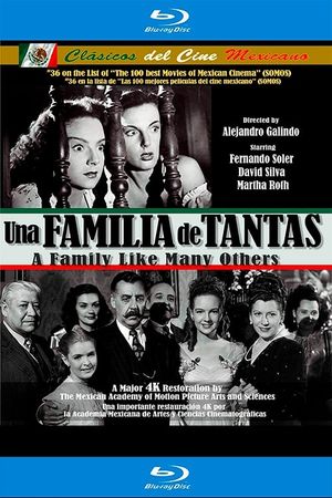 Una familia de tantas's poster