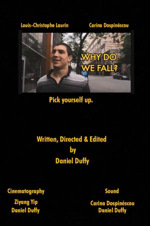 Why Do We Fall?'s poster