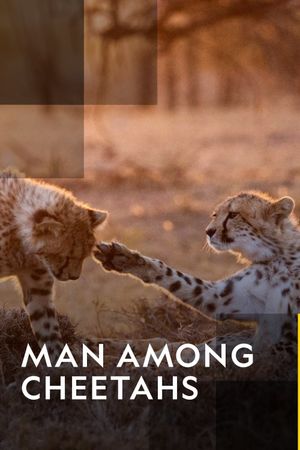 Man Among Cheetahs's poster