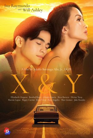 X & Y's poster