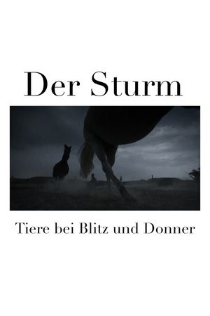 Der Sturm - Tiere bei Blitz und Donner's poster