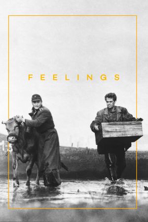 Feelings's poster