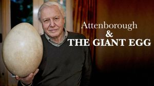 Attenborough and the Giant Egg's poster