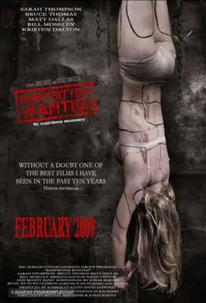 Babysitter Wanted's poster
