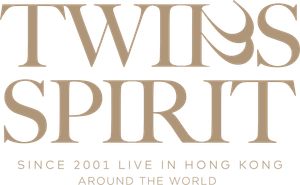 Twins SPIRIT Since 2001 Live 2024's poster