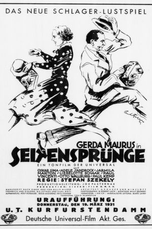 Seitensprünge's poster