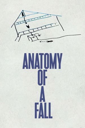 Anatomy of a Fall's poster