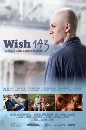 Wish 143's poster
