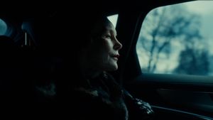 She Will's poster