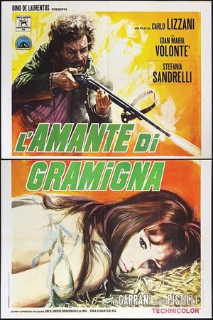 The Bandit's poster