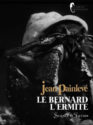 Hermit crab's poster