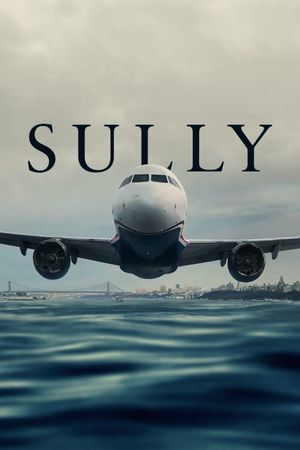 Sully's poster