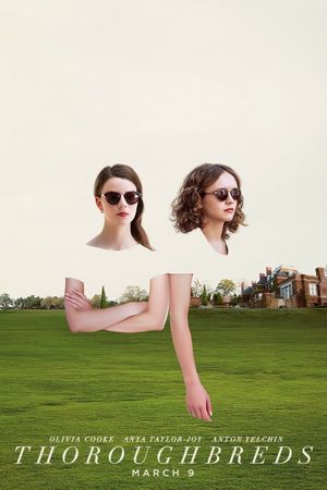 Thoroughbreds's poster