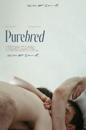 Purebred's poster