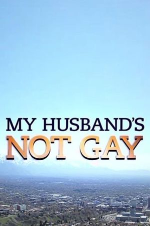 My Husband's Not Gay's poster