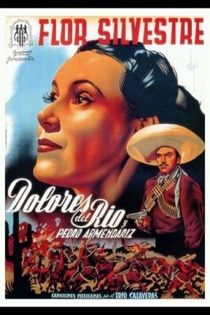 Wild Flower's poster