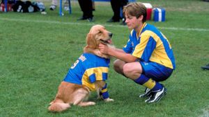 Air Bud: World Pup's poster