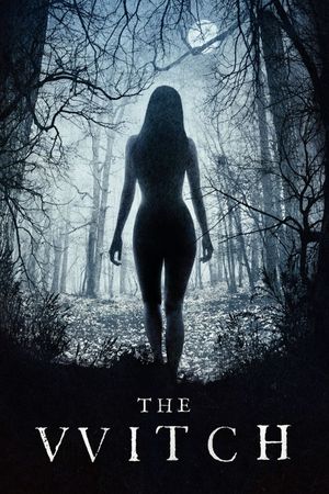 The Witch's poster