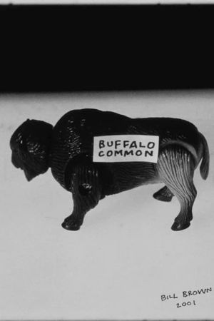 Buffalo Common's poster