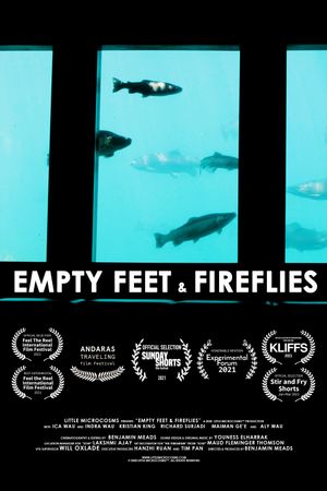 Empty Feet & Fireflies's poster