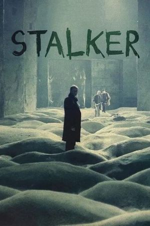 Stalker's poster