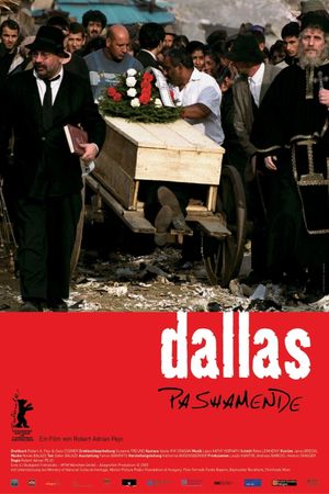 Dallas Pashamende's poster