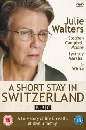 A Short Stay in Switzerland's poster