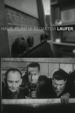 Haló, hlásí se redaktor Laufer!'s poster