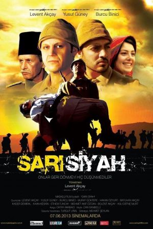 Sari Siyah's poster