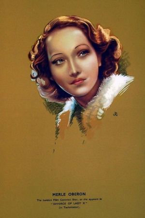 The Divorce of Lady X's poster