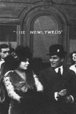 The Newlyweds's poster