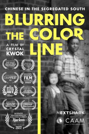 Blurring the Color Line's poster