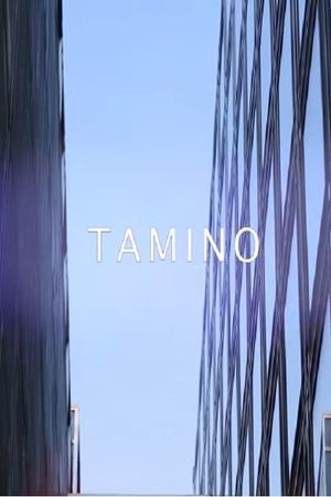 Tamino - live @ Les Concerts Volants's poster