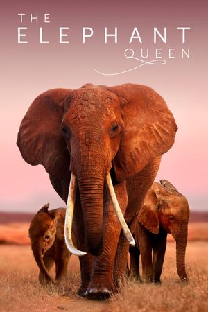 The Elephant Queen's poster image