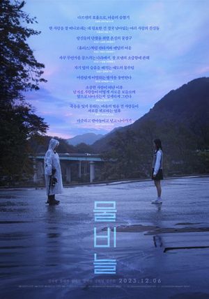The Ripple's poster