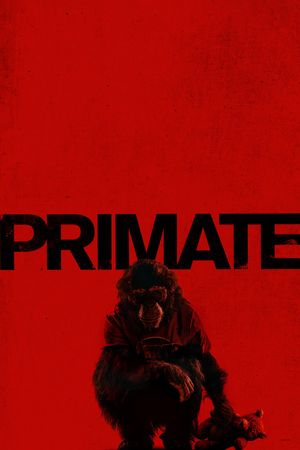 Primate's poster