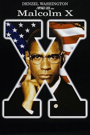 Malcolm X's poster