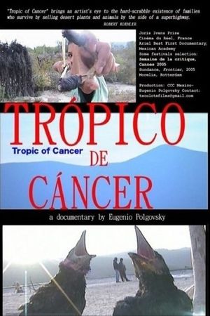 Tropico de cancer's poster