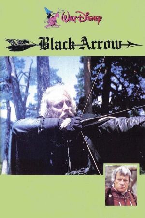 Black Arrow's poster